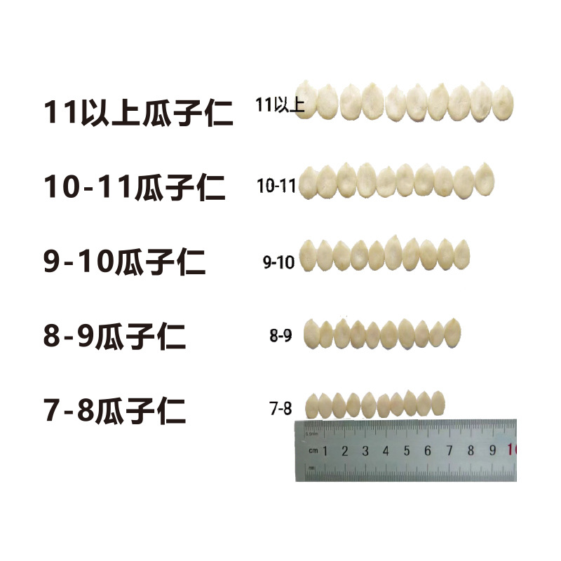 Xinjiang Seedless Watermelon Seeds 500g Large and Small Pieces Original Nut Five-Nut Mooncake Filling Baking Ingredients