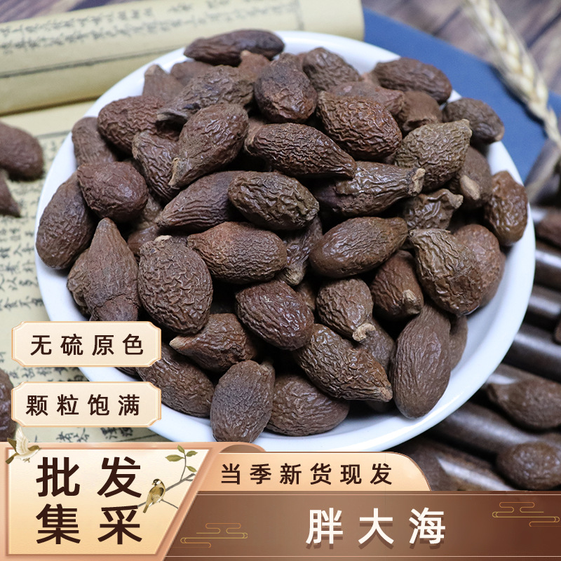 Жирные морские китайские травяные лекарства 500 г в упаковке для сезонных новинок, большой оптовый ящик целых морских водорослей для замачивания в воде и приготовления чая