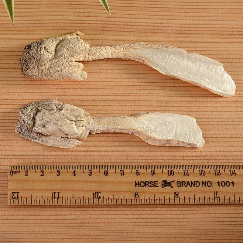 [Source Factory] Gutian Chicken Leg Mushroom Dried Goods 500g Fungi Agricultural Products Local Specialties Dried Goods Wholesale
