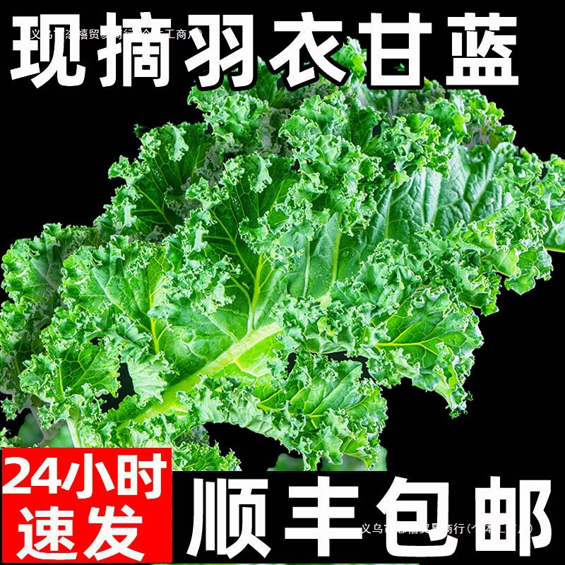 Fresh Kale Vegetables for Consumption, Sf Express Free Shipping, Juicing, Roasted Slices, Fitness Light Meal, Western Salad, Vegetable Sprouts