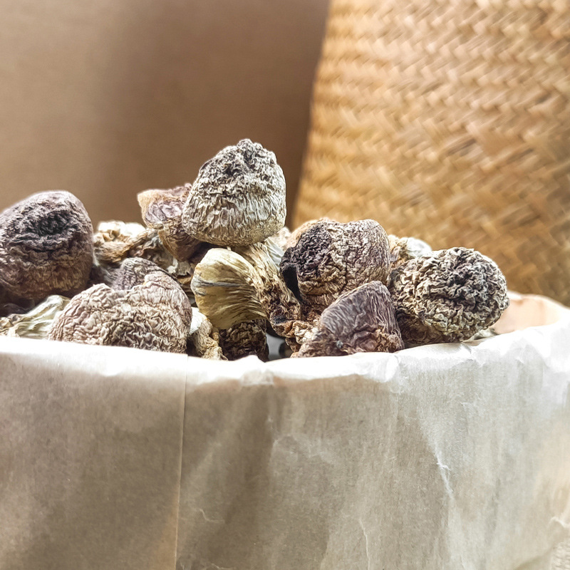 Agaricus Blazei 100g, Produced in Gutian, Brazil, Edible Mushroom, Sun-Dried, Gutian Origin