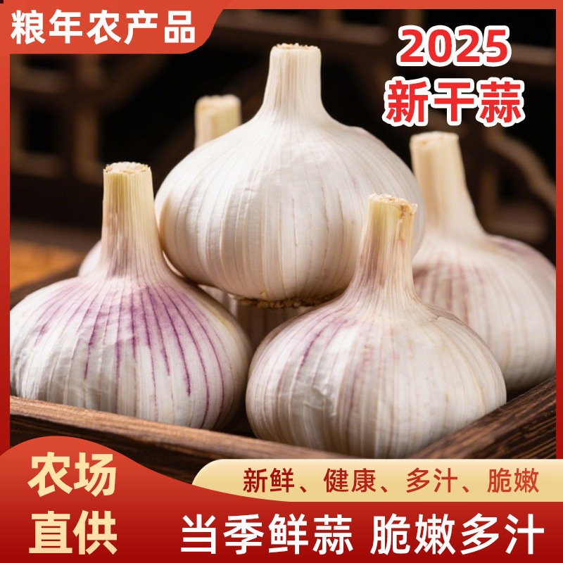 Сезонные свежие головки чеснока, выращенные фермерами без добавок для готовки, приправы и ароматизации, многолепестковые средние белые головки чеснока оптом