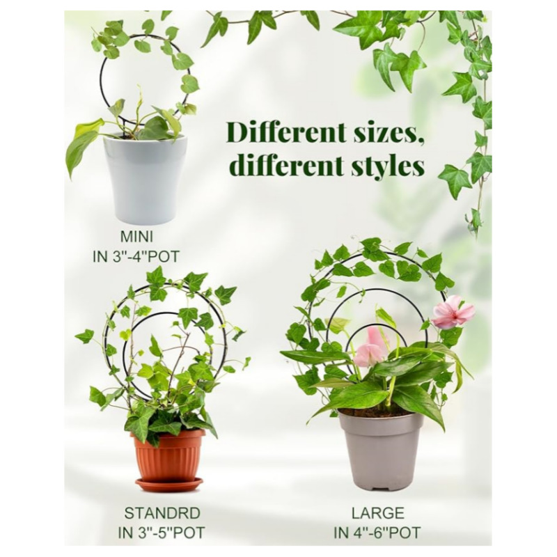 Cross-Border Amazon Temu Metal Three-Ring Plant Pot Climbing Frame Creative Climbing Plant Fixed Flower Stand Wholesale