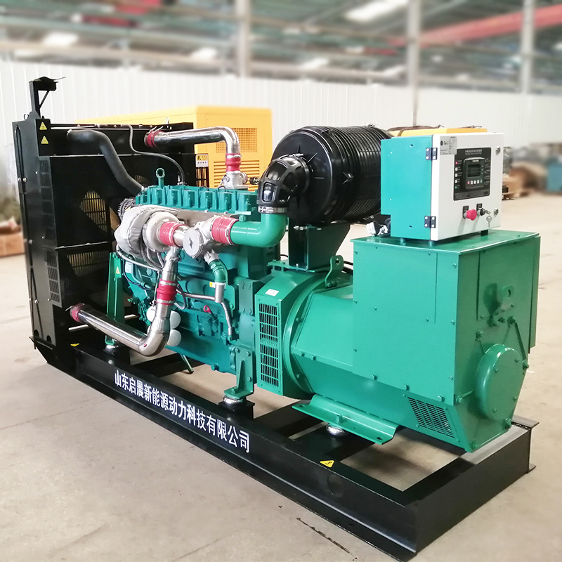 Natural Gas Generator 250Kw Gas Generator Set 400V Breeding Biogas Natural Gas Generator