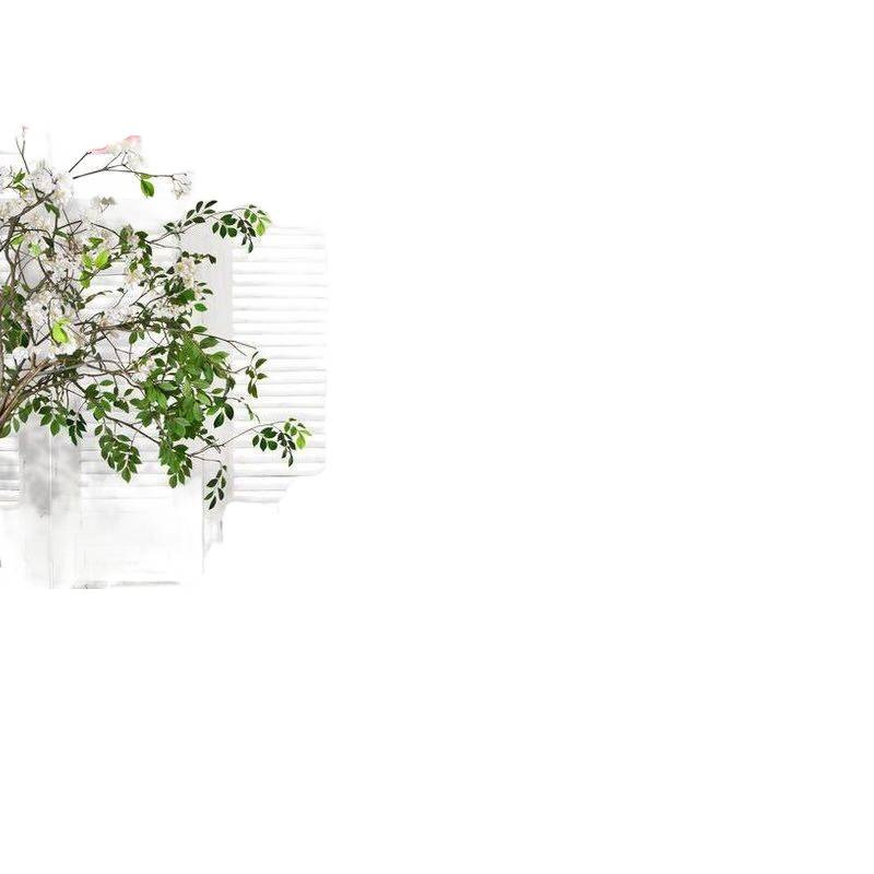 Pearl Cotton Filled Cotton Silk Non-Fluorescent Baby Fluffy Pillow Core Pillow