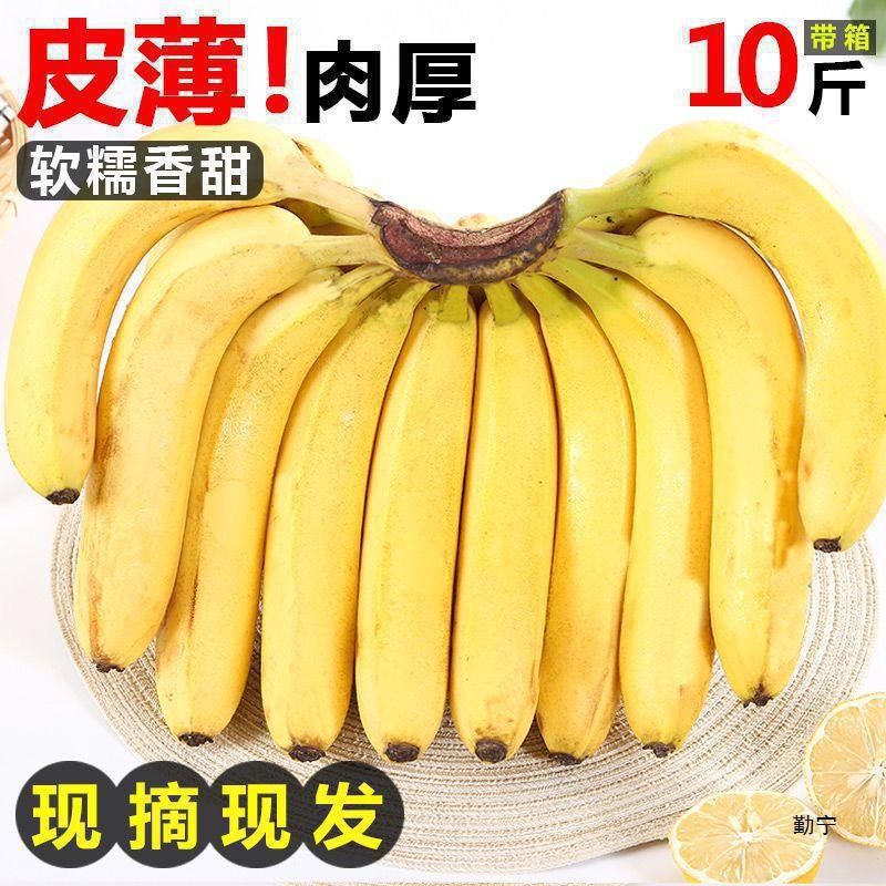 W 5kg Alpine Large Bananas, Seasonal Fresh Fruit, Plantains, Sweet and Delicious, Free Shipping for 5 Whole Boxes, 1.0kg Batches