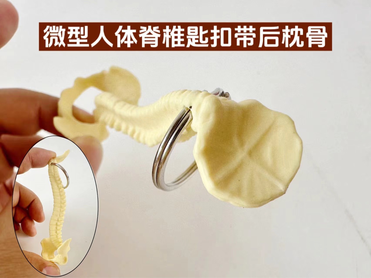 Ключница позвоночника человека ключница позвоночника череп скелет украшение Xili странная игрушка