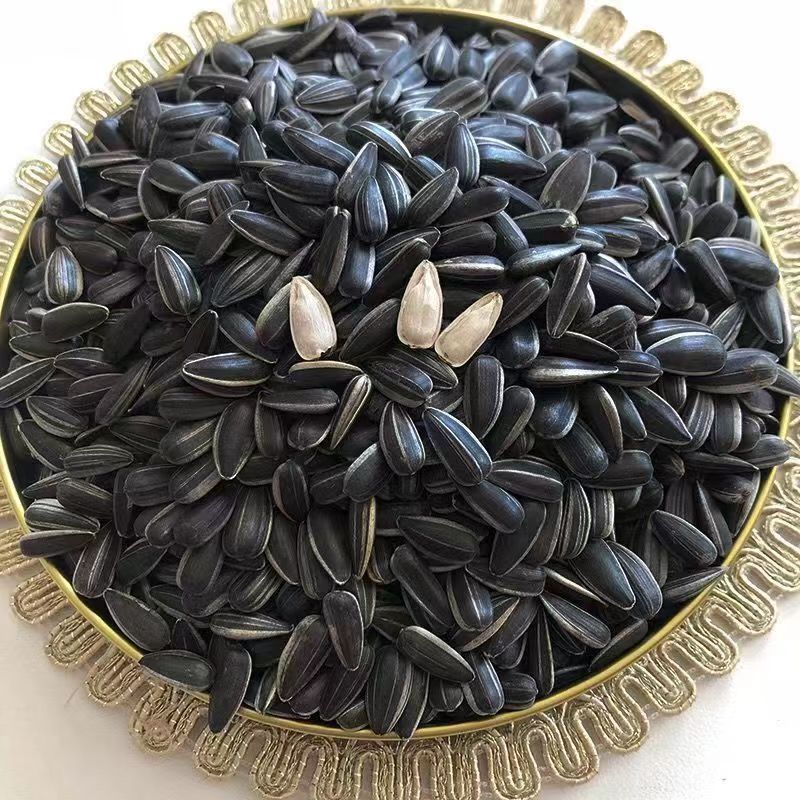 Seasonal new raw oil sunflower seed melon seed bird food hamster raw material black melon seed sunflower seed raw material bulk wholesale