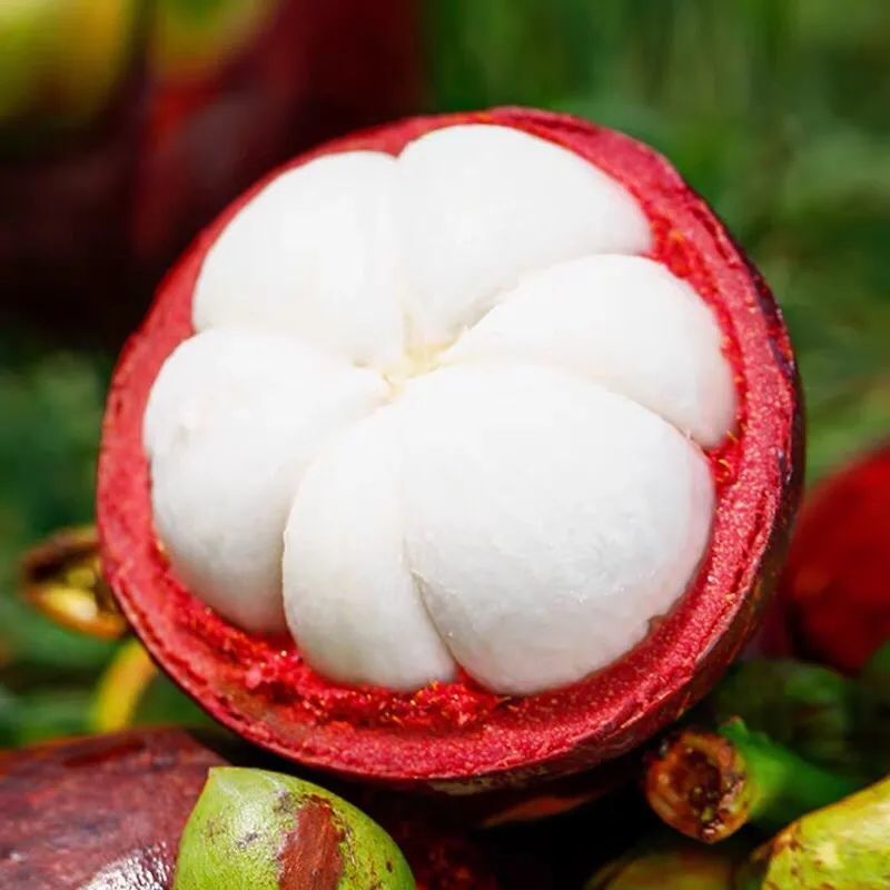 импортированный мангостин из Таиланда крупный фрукт 2/5/ 5кг свежие сезонные фрукты оптовая цена 5A6A