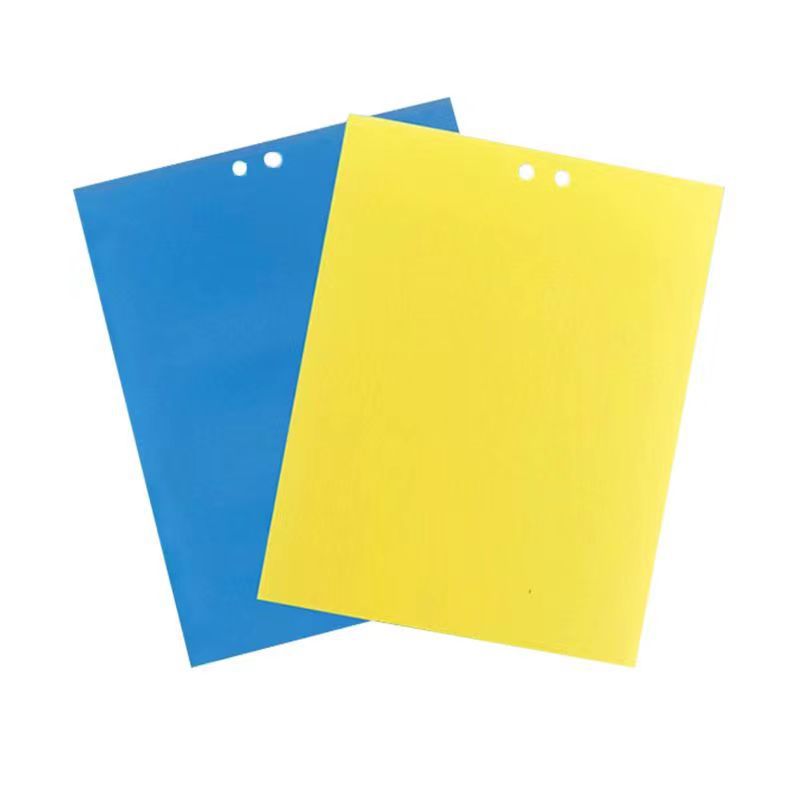 Sticky insect board trap board double-sided yellow board blue board manufacturers wholesale stained insect fruit fly ball fly ball citrus
