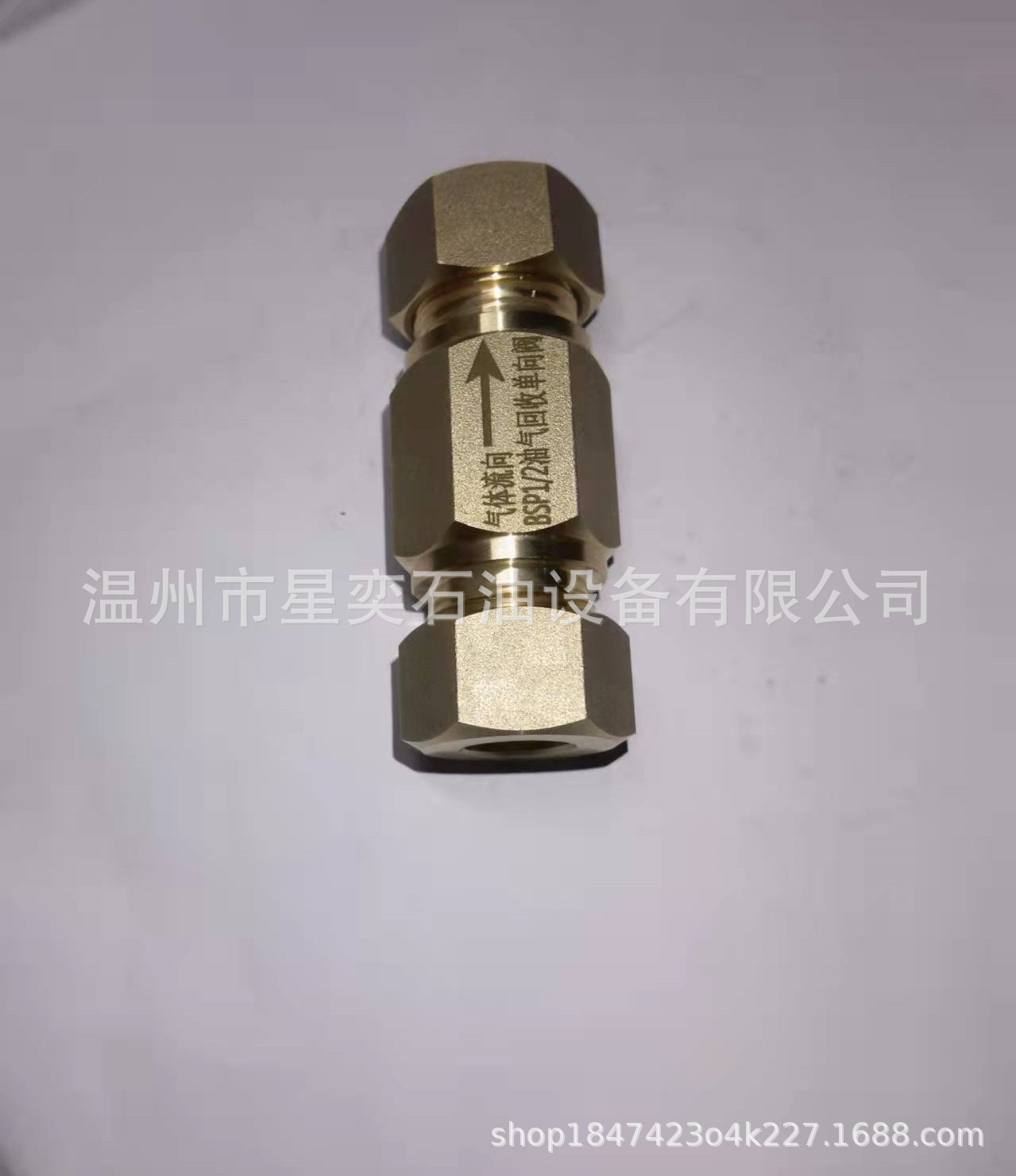 New Oil Gas Recovery Pump Outlet One-way Valve