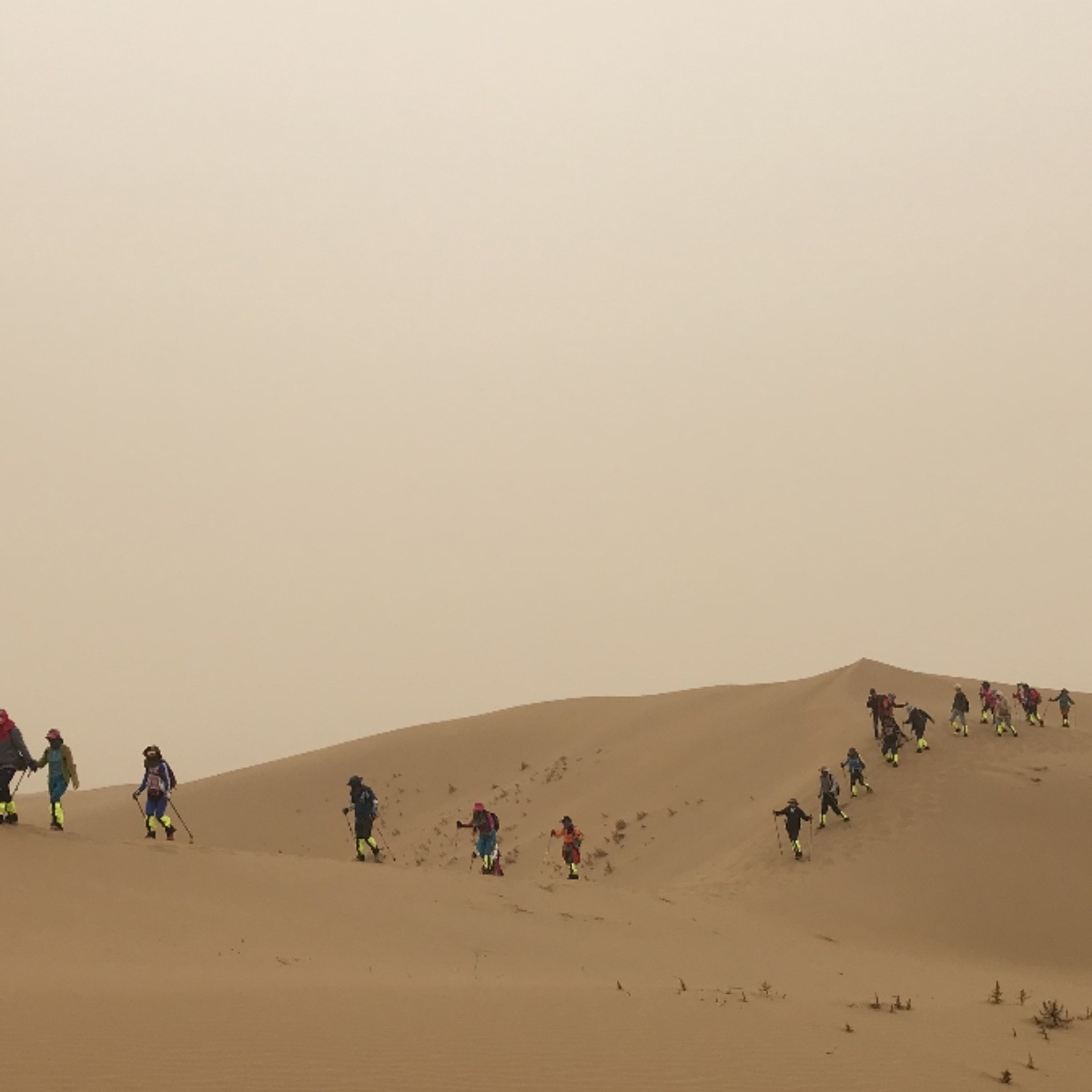 Outdoor Waterproof, Sandproof, Breathable Mountaineering Snow Cover, Desert Foot Cover, Leg Protector, Children's Adult Ski Extended Shoe Cover