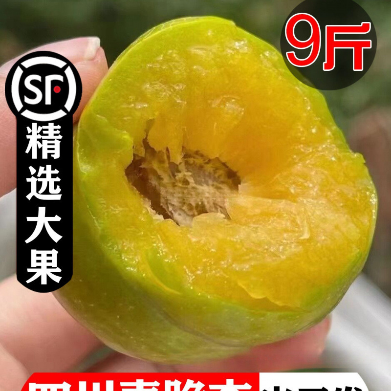 Безкосточковые сливы из Сычуани, зелёные хрустящие сливы, свежие фрукты, сезонные хрустящие сладкие сливы, свежесобранные крупные фрукты, целая коробка