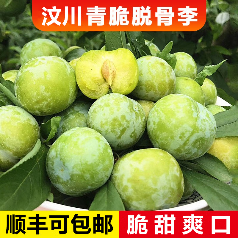 Fresh Hollow Seasonal Sweet and Sour Fruit from Wenchuan Qingcui Plums, Honey Ice, Wushan Hongyin, Boneless Plums from Sichuan