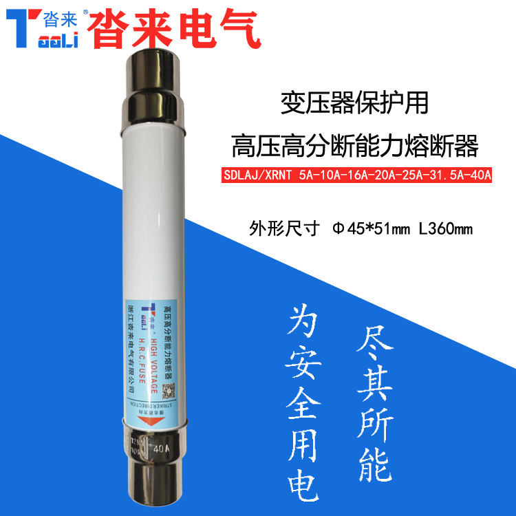 Xrnt10Kv12Kv Высоковольтный предохранитель с высокой способностью к разрыву Sdlaj Негативный выключатель 10A 16A 31.5A