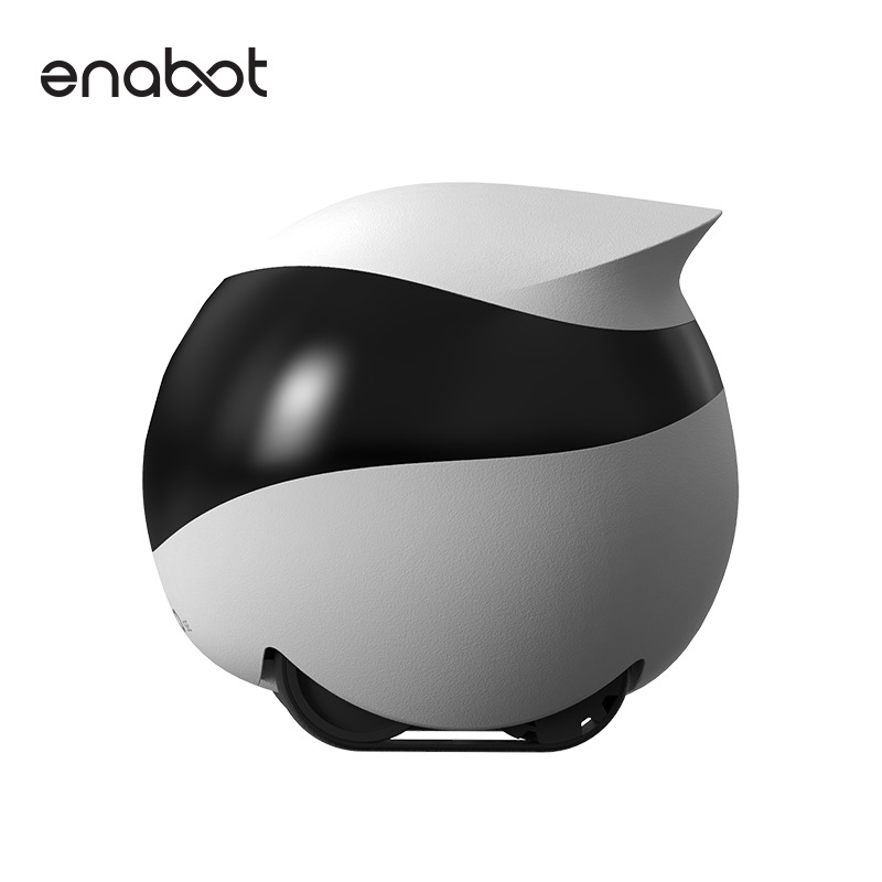 Enabot Whole House Mobile Camera Wireless Monitorebo Robot Home Smart Walking Digital Pet