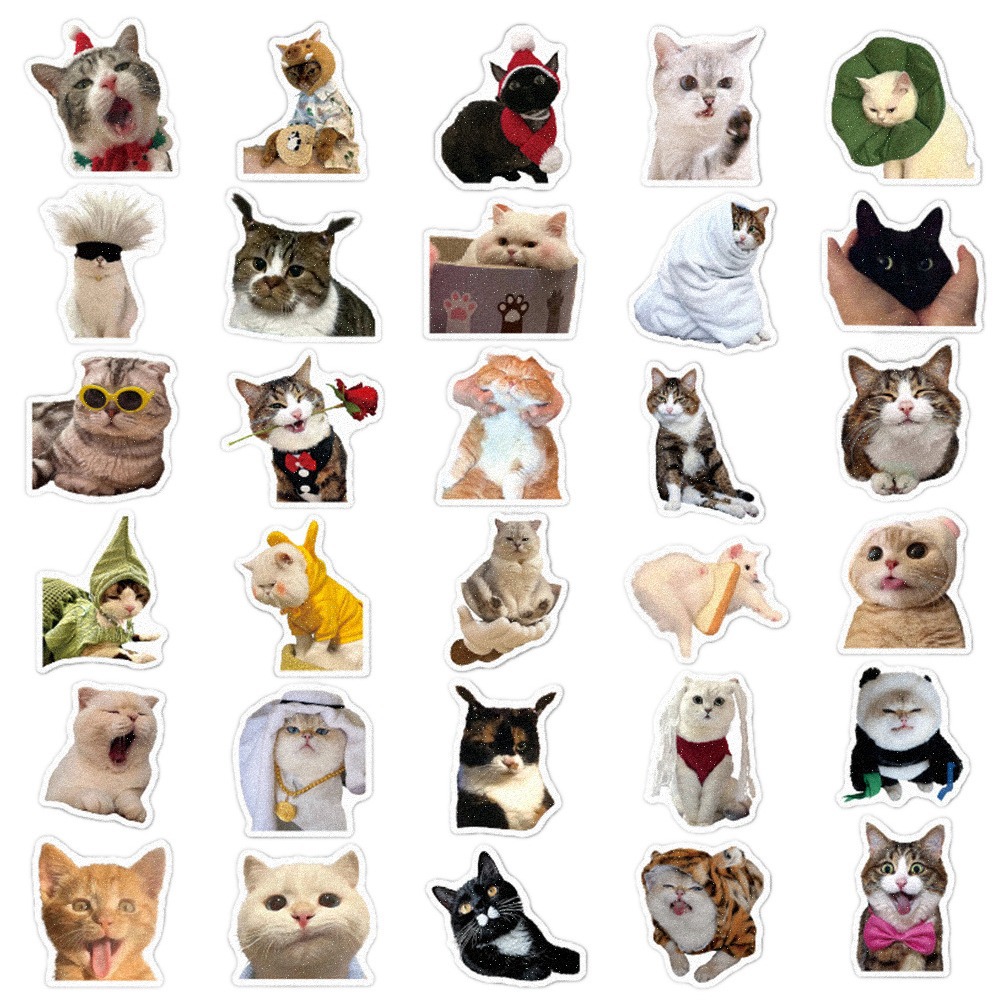 60 cross-border cartoon cat graffiti stickers diy luggage cup notebook self-adhesive waterproof hand account stickers