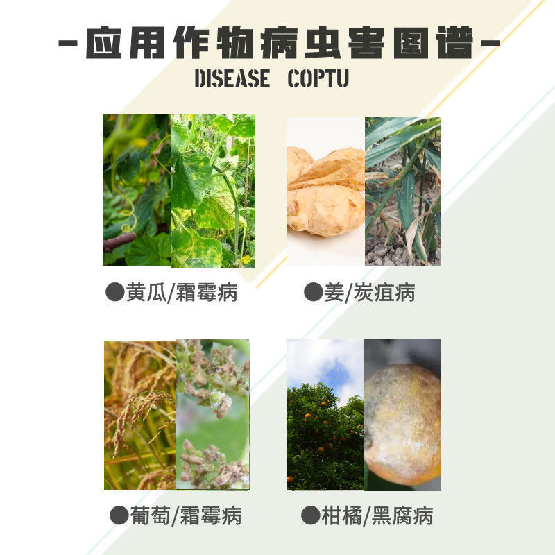 Liben Kangyan 25% Pyraclostrobin, Pyraclostrobin, Downy Mildew, Anthracnose, Pesticide Fungicide for Cucumber Fruit Trees