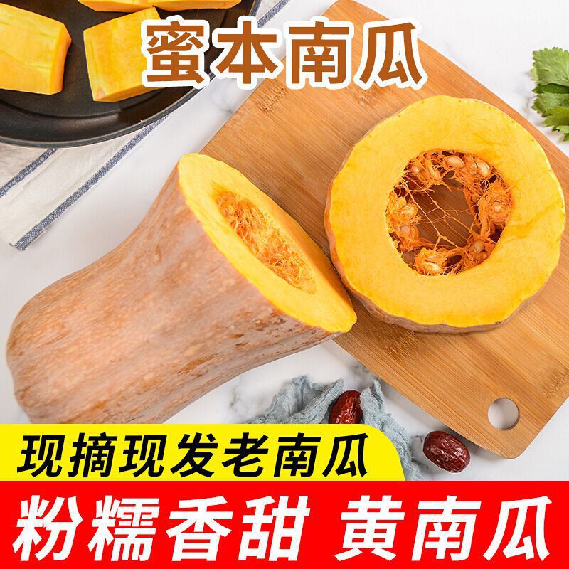Old Pumpkin Yunnan Plateau Honey Melon, Long and Sweet, Farm Freshly Picked, Direct Supply, Small Sweet Glutinous Cow Leg Wholesale