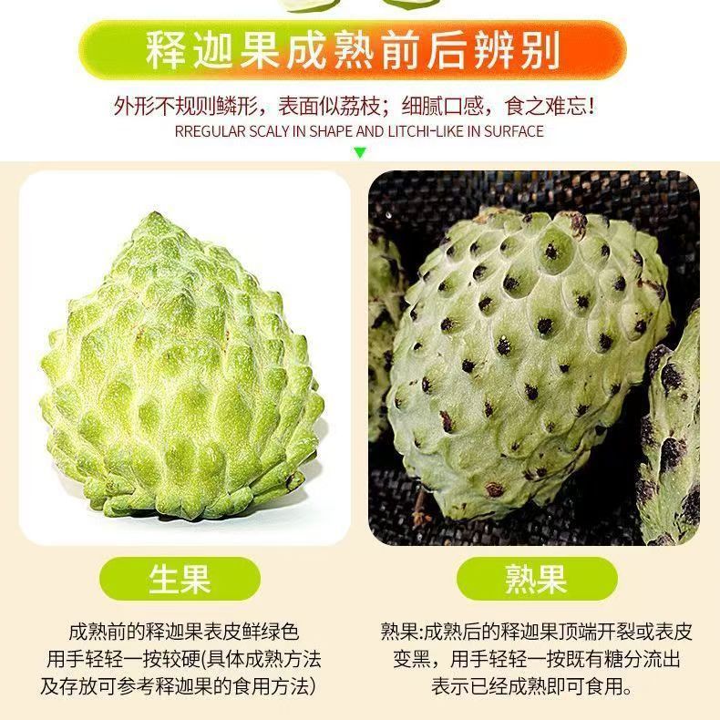 Fresh Sakyamuni Fruit, Huimen Guava, 2.5kg Guangxi-Produced Seasonal Rare Fruit, Sweet, Soft and Glutinous