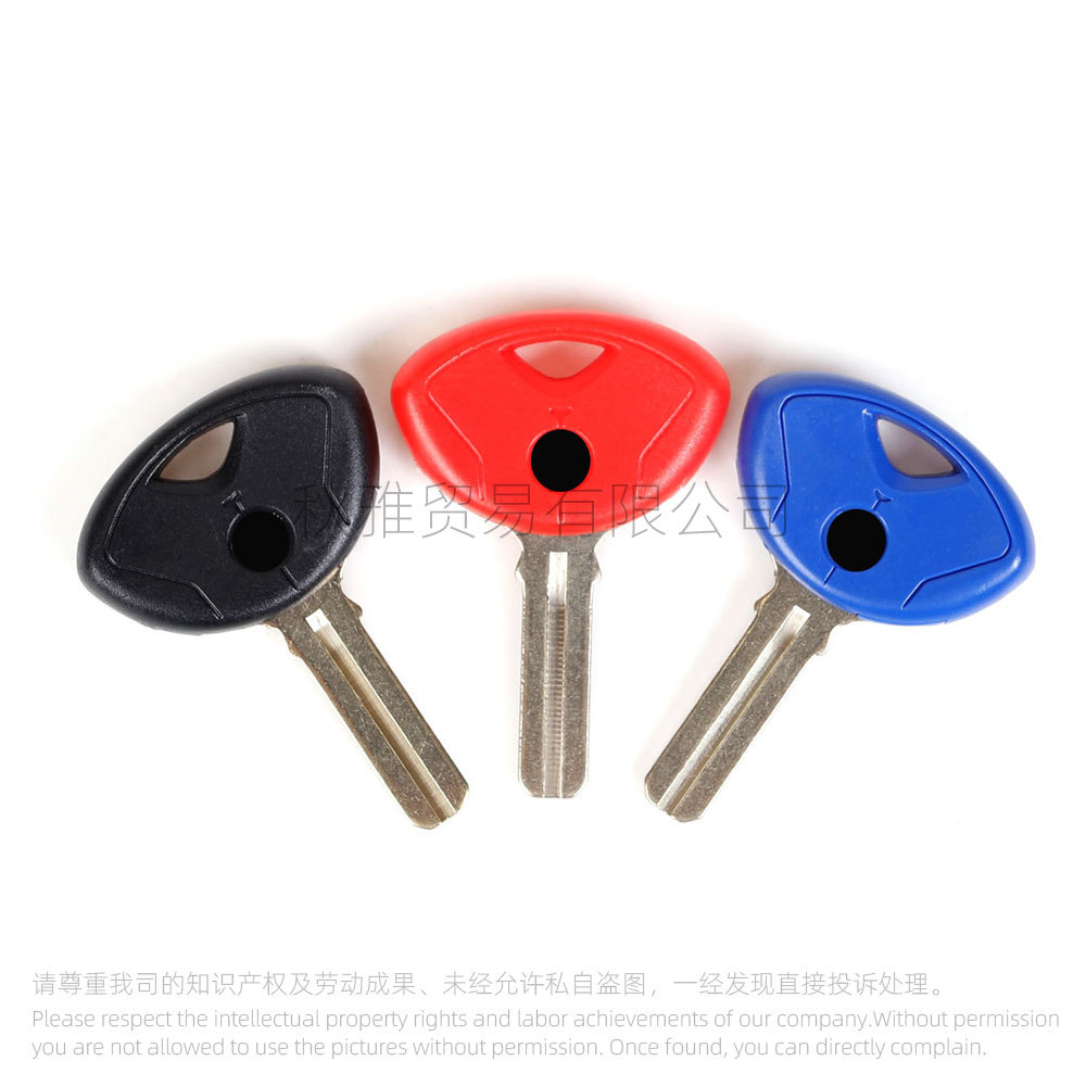 Suitable for Bmw Motorcycle F800Gs S1000Rr R1200R K1200 K1300 Imported Key Embryo