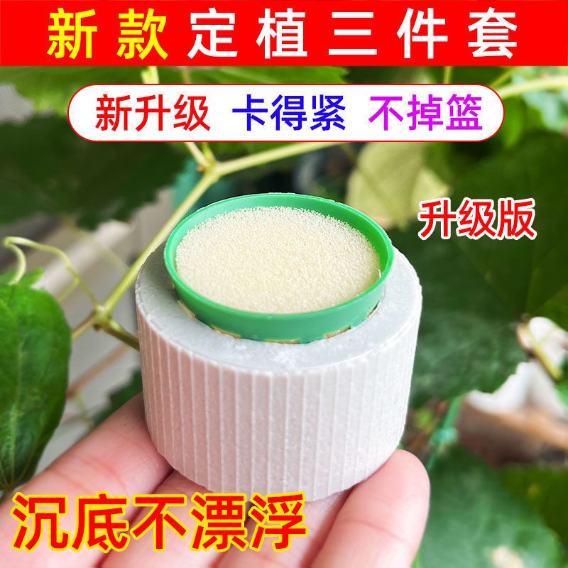 New Aquatic Plant Fixing Ring, Aquatic Plant Planting Three-Piece Set, Ceramic Ring, Planting Cotton, Planting Basket, Planting Ring, Fish Tank Sinking Ring