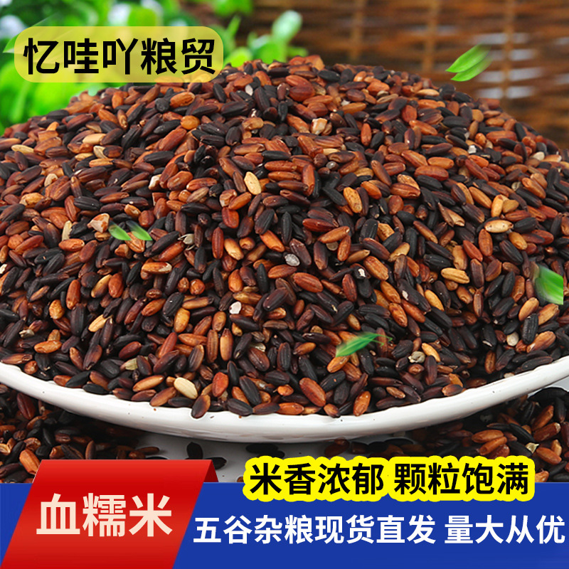 Новинка цельных зерен, северо-восточный черный клейкий кровавый рис, молотый порошок, каша и суп, фиолетовый красный клейкий рис, оптовая продажа кровавого клейкого риса