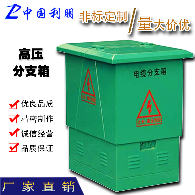 10Kv Cable Branch Box Stainless Steel European High Voltage Cable Branch Box Outdoor Dfw One in Two Out Tap Box