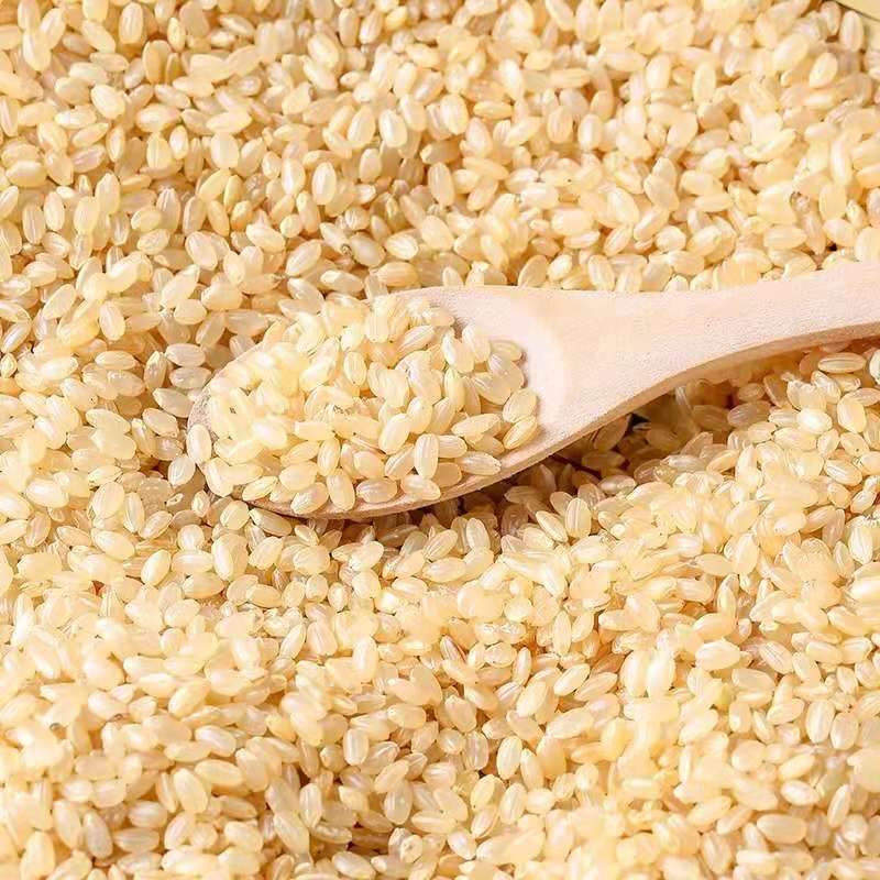 Новый коричневый рис, оптовая продажа, сырье