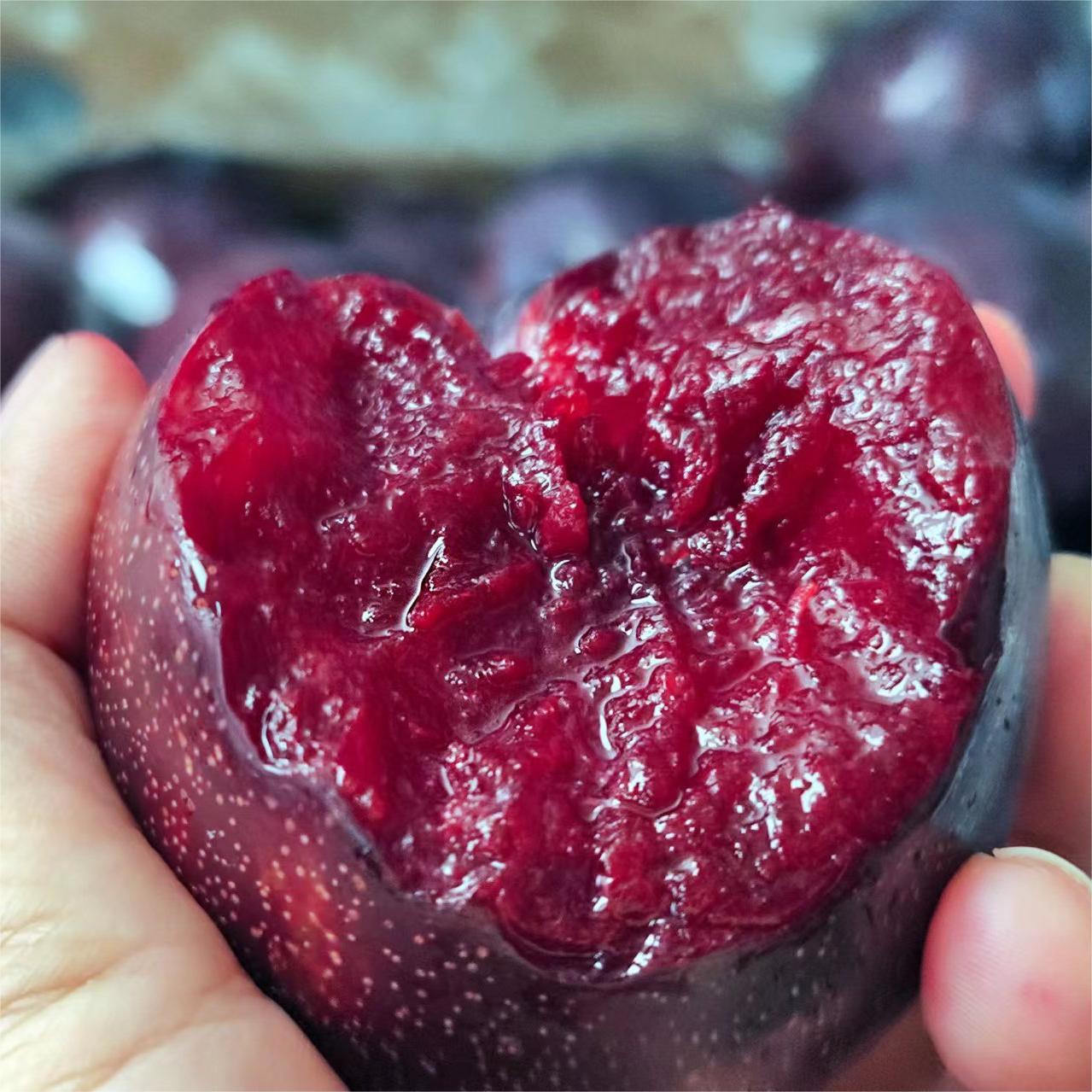 Spot Chilean Cherry Plums in Season for Pregnant Women Pure Sweet Plum Anthocyanins Sf/Jingdong Full Box