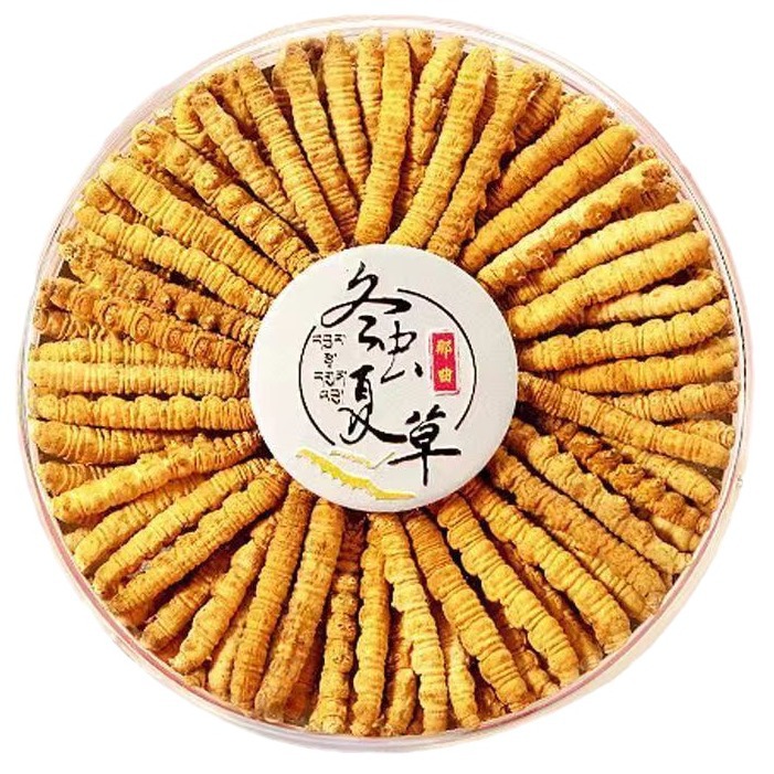 Cordyceps sinensis dried Cordyceps Xizang Cordyceps sinensis source wholesale recruitment agent traditional tonic