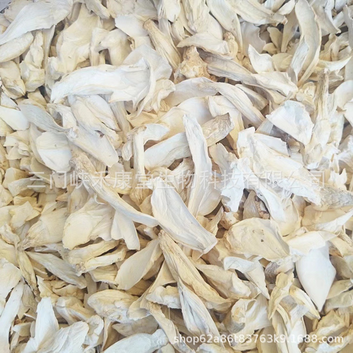 Pleurotus eryngii dried slices Pleurotus eryngii slices sliced abalone mushroom dried scallops mushroom edible fungus