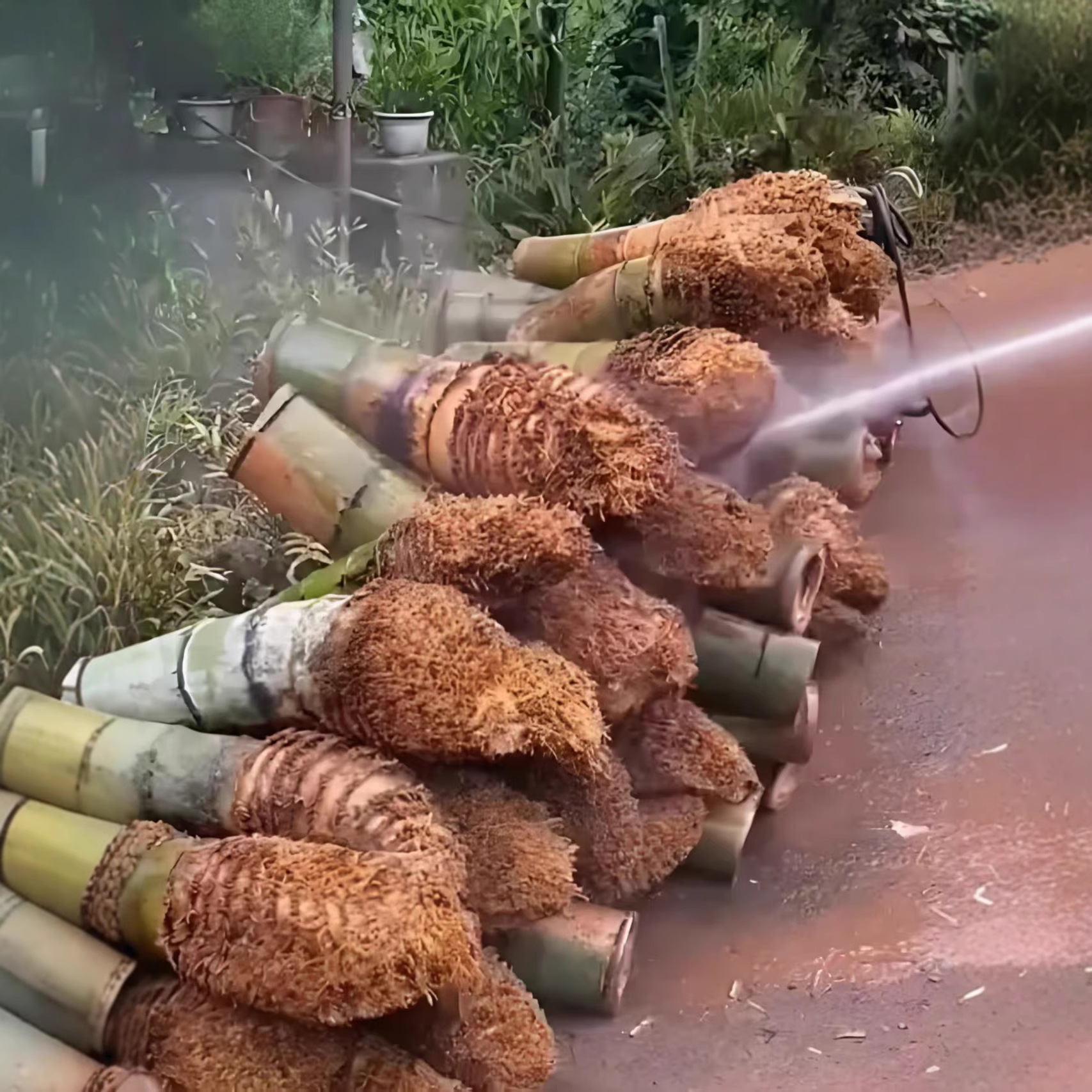 Old Root Bamboo Tube Rice Steamer, Handmade Bamboo Steamer, Sugar Control Tool, Bamboo Steamer Basket