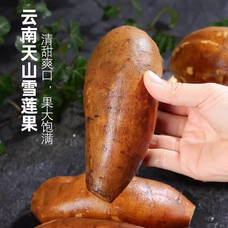 Yunnan Tianshan Snow Lotus Fruit 6kg Fresh Fruit Seasonal Red Heart Yellow Heart Snow Lotus Fruit for Pregnant Women Special Full Box Free Shipping