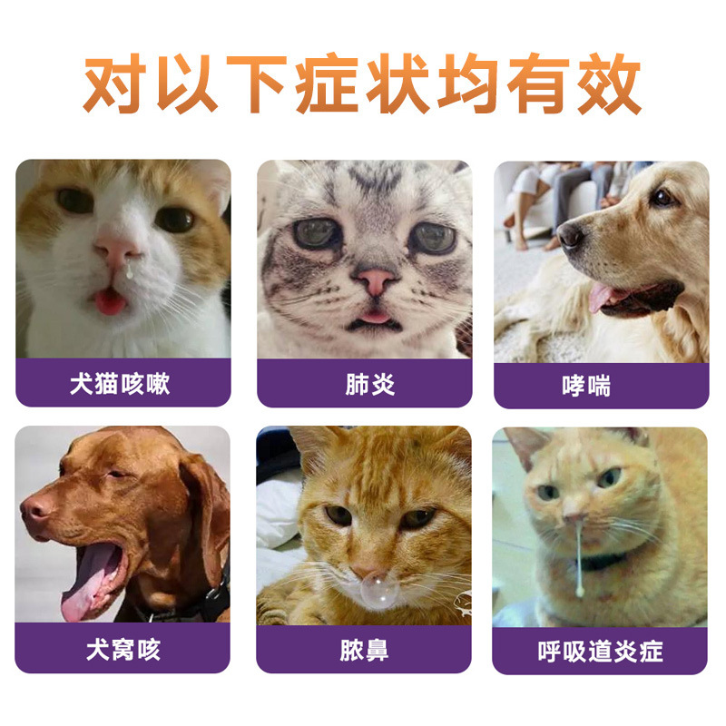 Pet Cats and Dogs Cough, Asthma, Sneeze, Lethargy, Platycodon Oral Liquid, Runny Nose, Purulent Nose, Poor Respiratory Tract