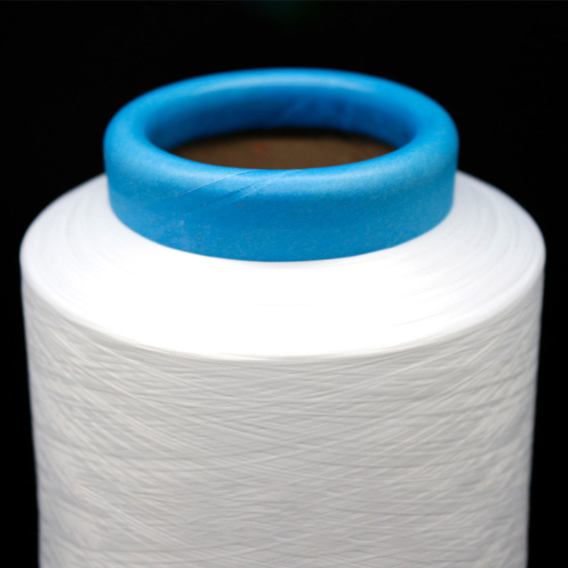 Regenerated Polyester Fdy High-Strength Silk 40D24F Webbing Mark Low-Elastic Black and White Polyester Filament Grs Polyester Raw Silk