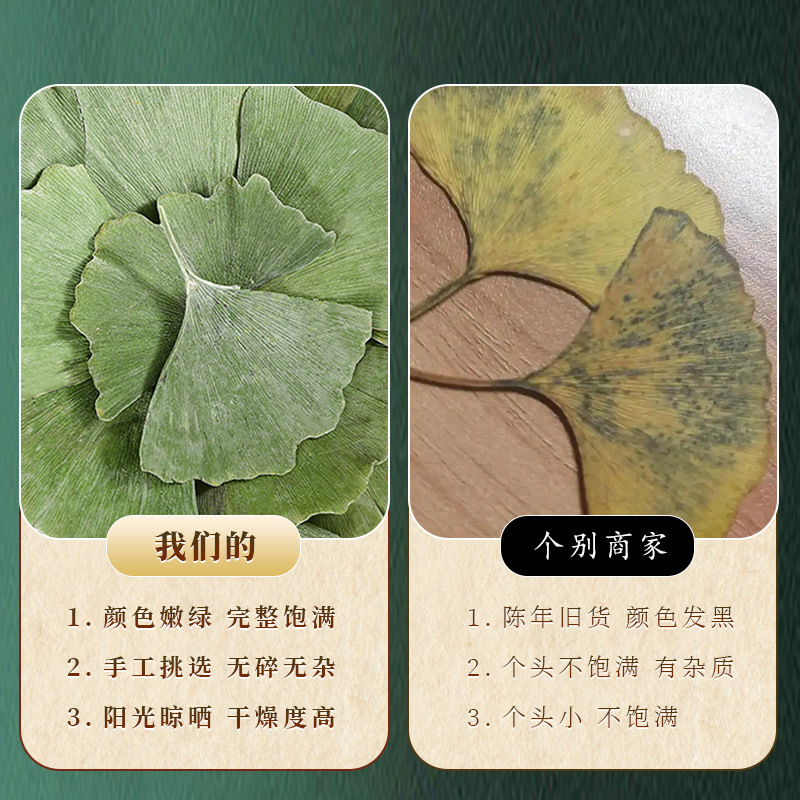 Shennongjia Ginkgo Leaf Chinese Herbal Medicine 500g Ginkgo Leaf Tea Authentic New Arrival Ginkgo Leaf Dried Whole Pieces for Tea