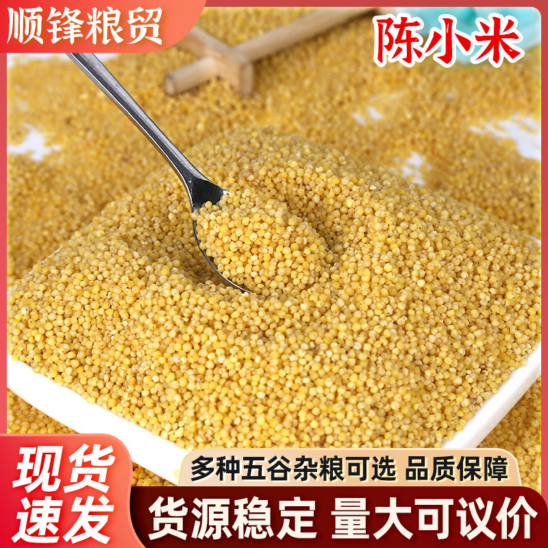 в наличии зерновая приманка просо желтое оптом крупное зерно новое просо