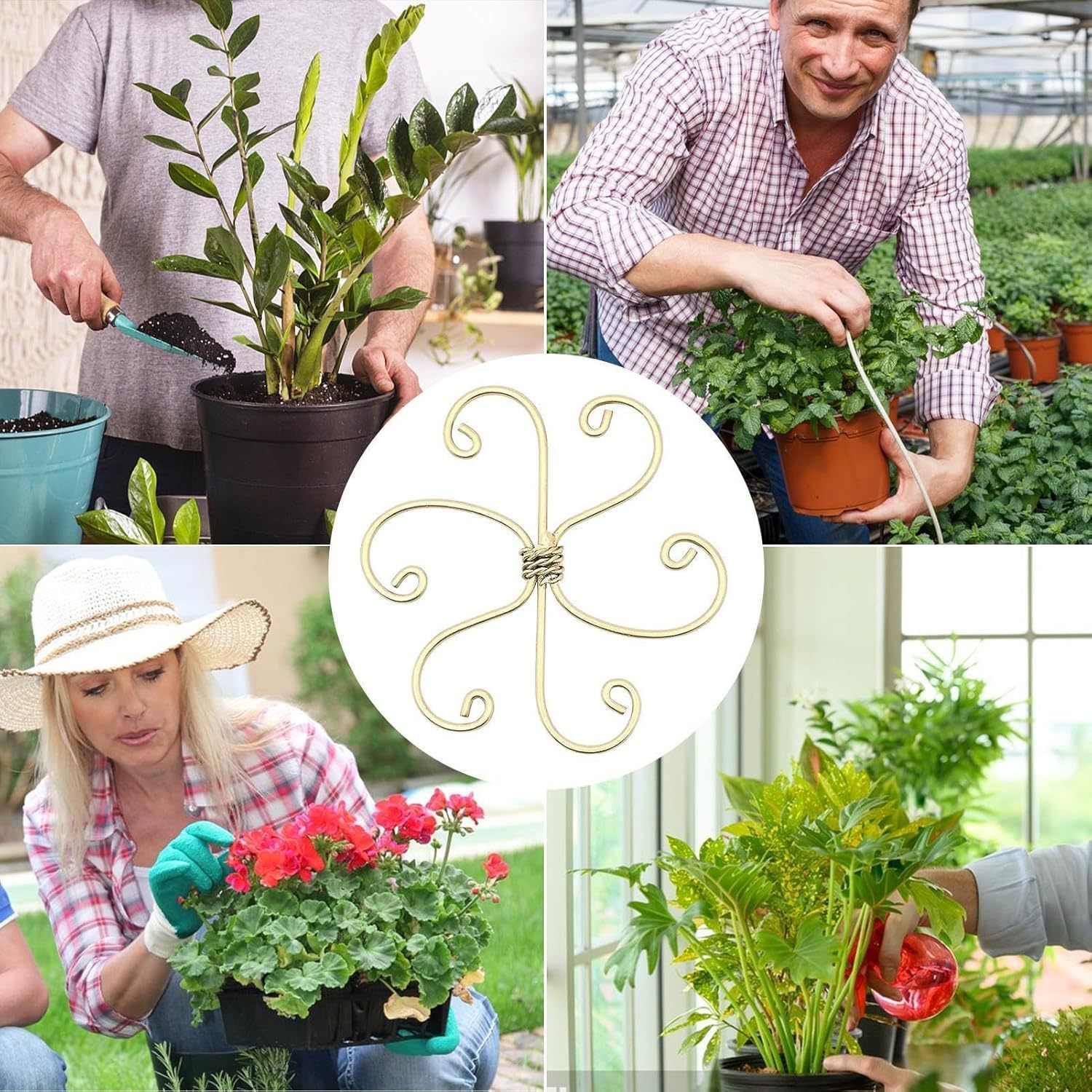 Cross-border wrought iron plant holder plant support stand flower arrangement clematis flower stand climbing stand plant support