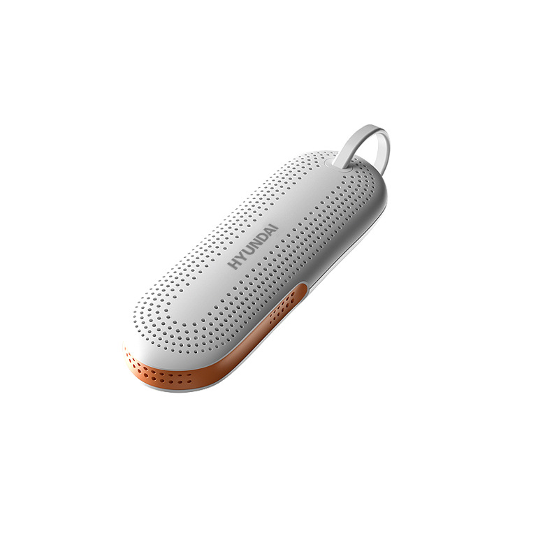 South Korea HYUNDAI Shoe Dryer Deodorization Sterilization Household Student Dormitory Quick-drying Warm Shoe Dryer Shoe Dryer