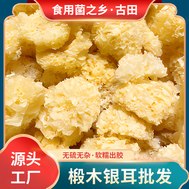Специальность Гутяня, серебристые уши из липы, оптовая упаковка 500г, новые товары, легко производимые клеевые снежные уши, в наличии, чистые, без серы, мелкие серебристые уши, оптовая продажа
