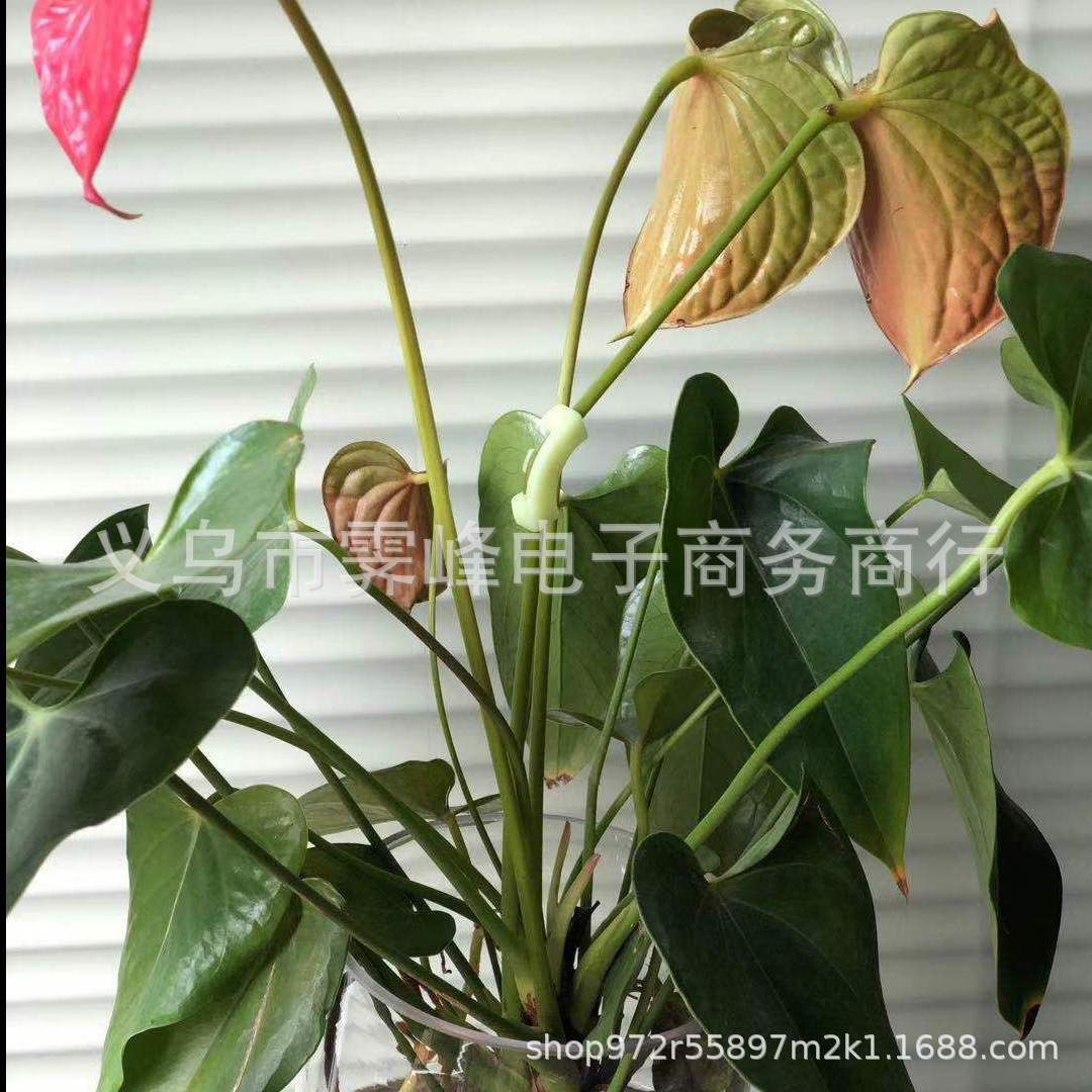 90 Degree Plant Bender Plant height shape training 90 Degree Plant Bender green Plant