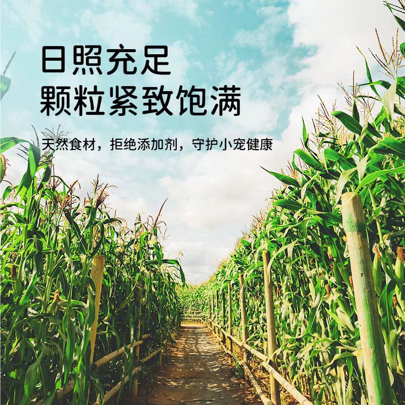 The Manufacturer Supplies Popular Mini Corn Hamster Molar Sticks, Corn Golden Bears, Rabbits, Chinchillas, Molar Corn