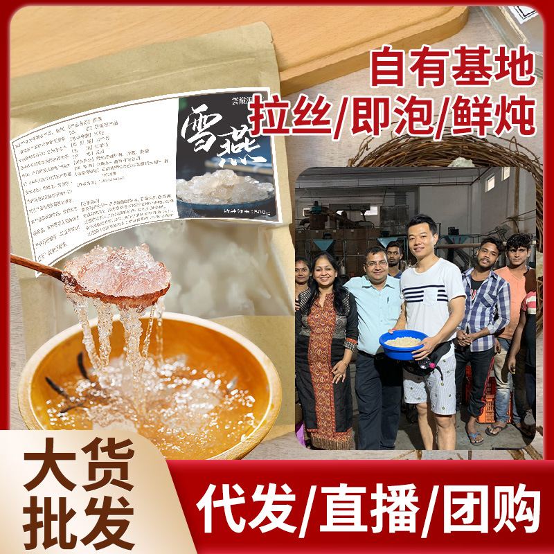 Юньнаньский щетинистый снегирь, гнездо из растительного материала, 500г, консервированное, живое, того же поколения