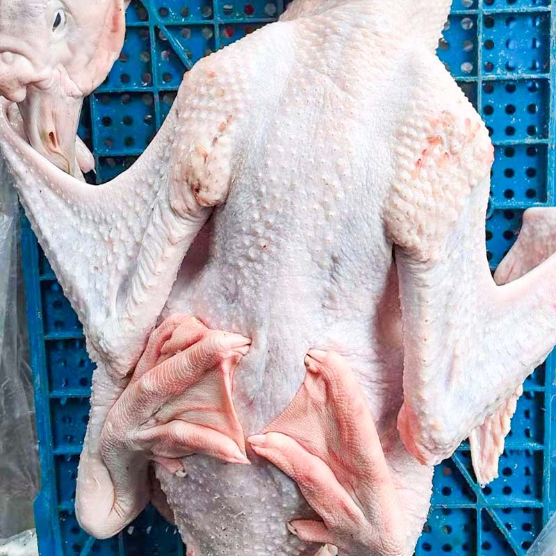 Chaoshan Lion Head Goose