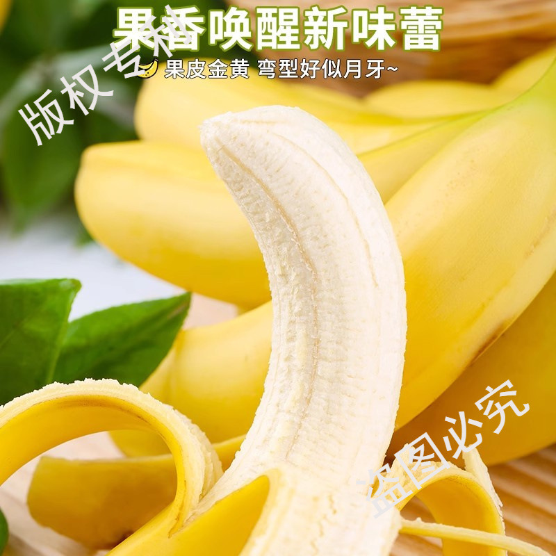 Yunnan Alpine Sweet Bananas 4.5kg Fresh Fruit Seasonal Freshly Picked Plantain Sweet Bananas Whole Box Naturally Ripe