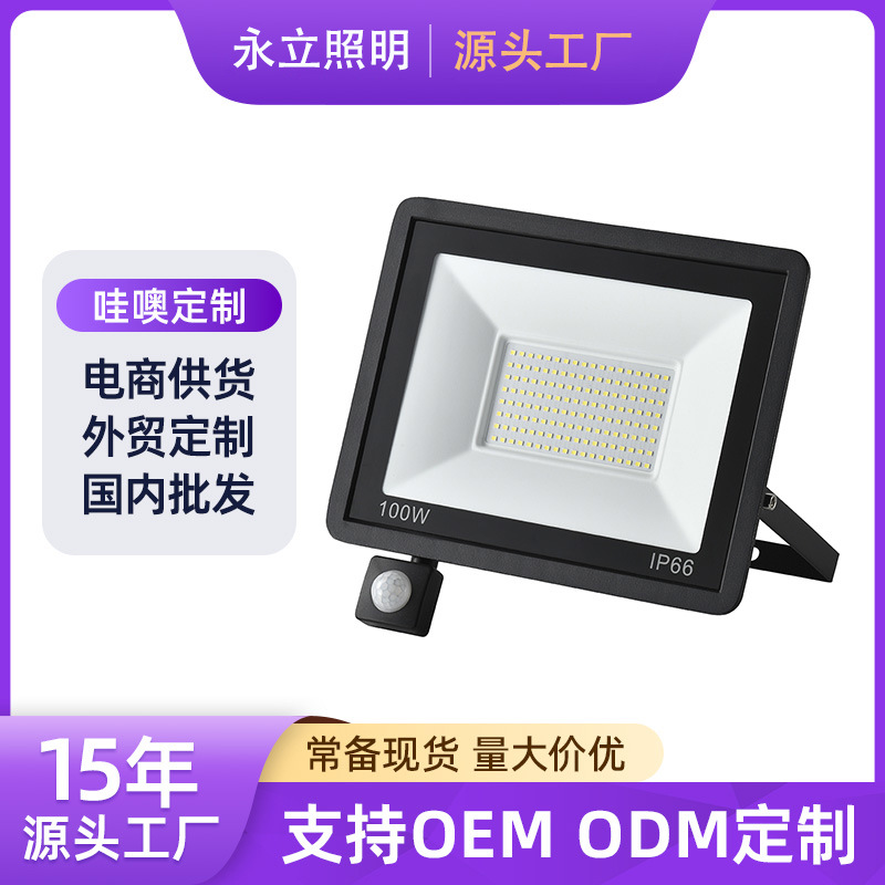 Прожектор Cross-Border Led с малым яблоком, датчик движения, инфракрасный, ультратонкий