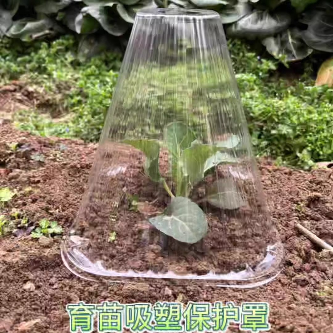 Reusable Transparent Thickened Seedling Protection Cover Bell Cover Greenhouse Vegetable Garden Bird Damage Prevention Insect Protection Upgrade