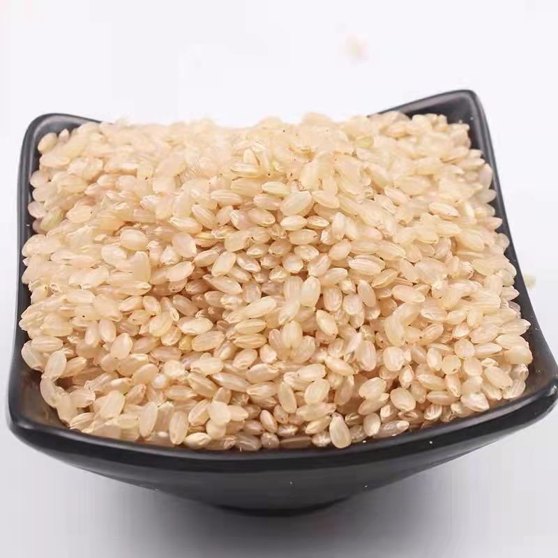 Bulk Wholesale Brown Rice 500g New Rice Bulk Brown Rice Farm-Produced Whole Grains