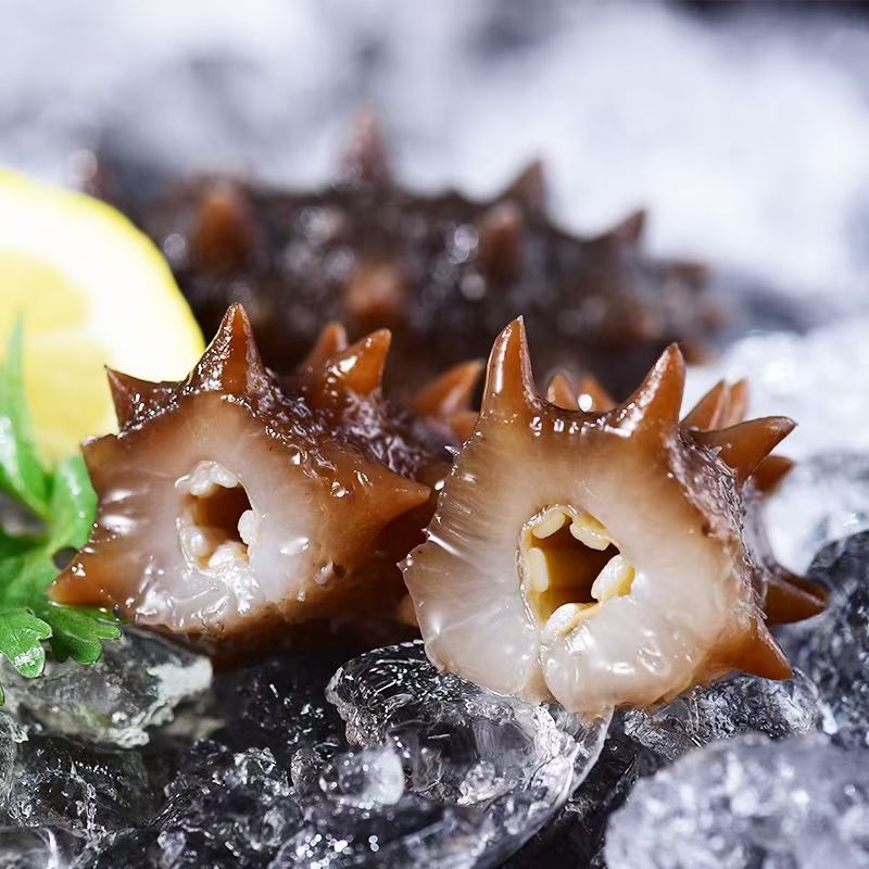 Hot-Selling Ready-To-Eat Sea Cucumber, Non-Dried, Fresh Sea Cucumber for Commercial Wholesale, Individually Packaged Fresh Sea Cucumber